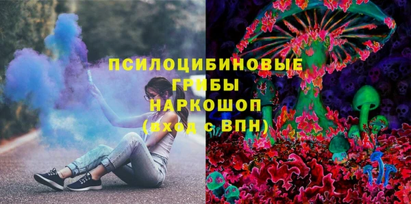 амф Бронницы
