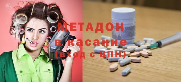 крисы Бородино