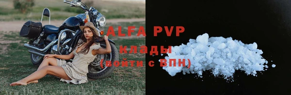 крисы Бородино
