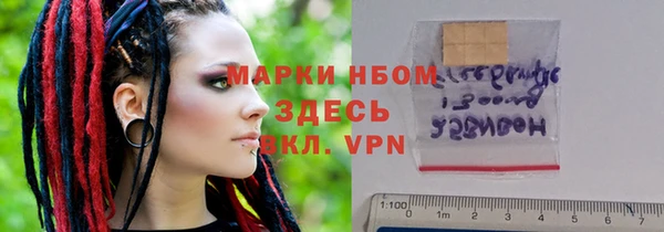 крисы Бородино