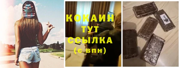 крисы Бородино