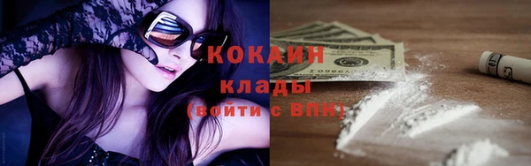 крисы Бородино