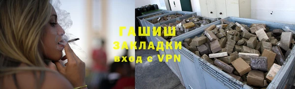 крисы Бородино