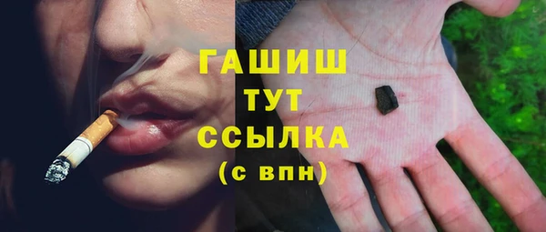 крисы Бородино