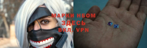крисы Бородино