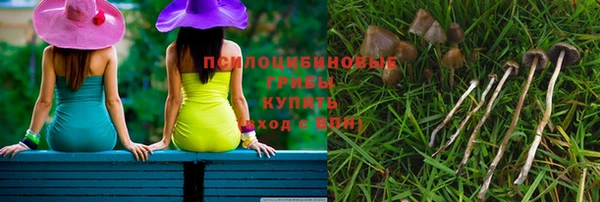 крисы Бородино