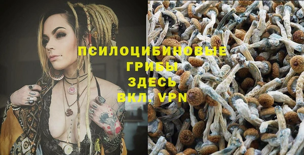 амф Бронницы