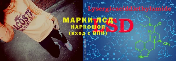 крисы Бородино