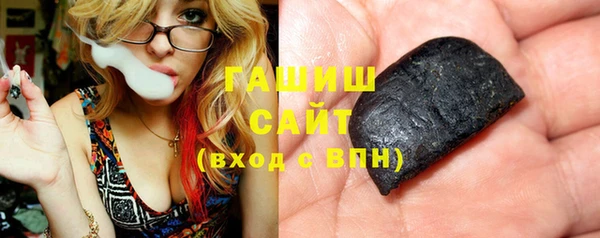 крисы Бородино