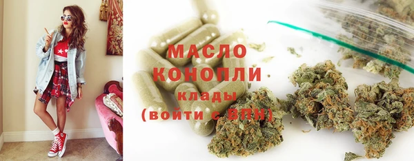 крисы Бородино