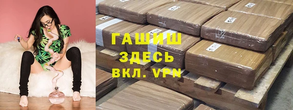 крисы Бородино