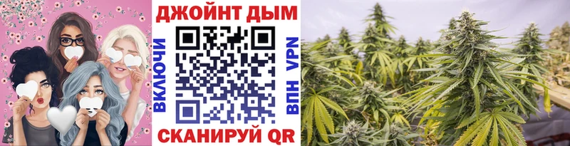 дарнет шоп  мега ссылка  МАРИХУАНА гибрид  Санкт-Петербург 